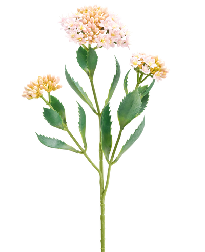 De Kunstbloem Kalanchoë 47 cm roze heeft een enkele groene stengel met drie trossen kleine, lichtroze en perzikkleurige bloemen en langwerpig gekarteld groen blad, geïsoleerd op een witte achtergrond.