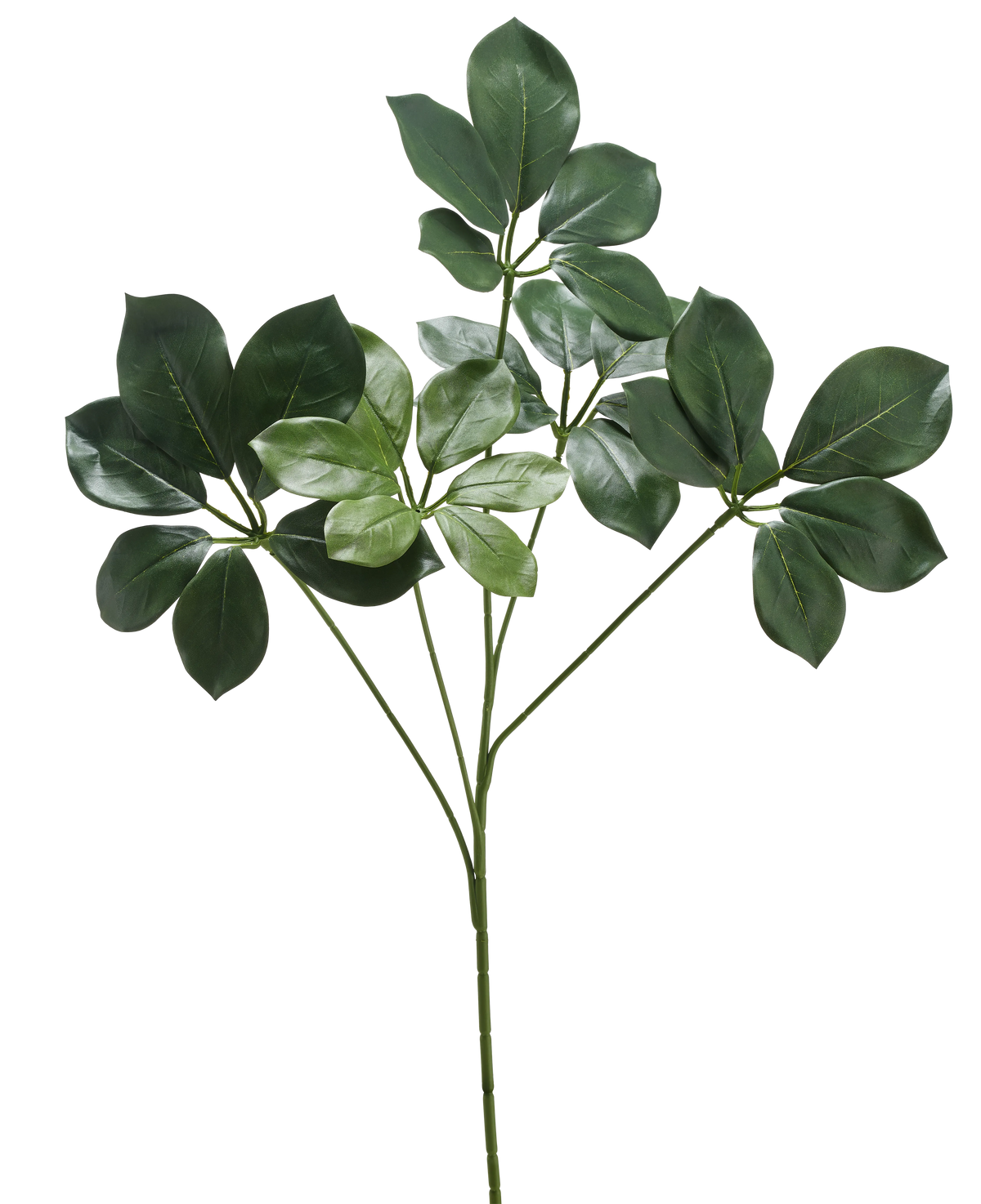 The Artificial Branch Schefflera 50 cm FR has a single stem with several bunches of wide, dark green leaves and some lighter green leaves, against a white background.