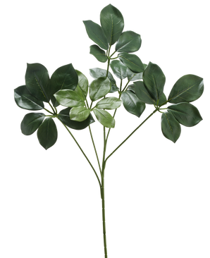 De Kunsttak Schefflera 50 cm FR heeft een enkele stengel met meerdere trossen brede, donkergroene bladeren en enkele lichtere groene bladeren, tegen een witte achtergrond.