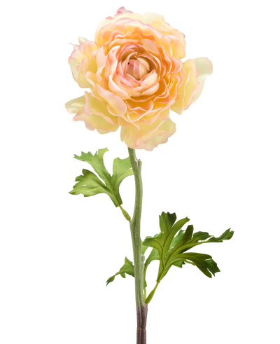 De Kunstbloem Ranonkel 51 cm zalm roze heeft een enkele kunst ranonkel bloem in zachte zalmroze tinten met gelaagde bloemblaadjes en groene blaadjes op een lange steel, tegen een witte achtergrond.