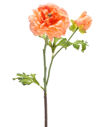 Een enkele steel van de Kunstbloem Ranonkel 51 cm lichtroze met een grote lichtroze bloem in volle bloei, een kleinere knop en groene bladeren tegen een witte achtergrond.