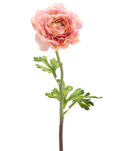 De Kunstbloem Ranonkel 51 cm roze heeft een enkele roze ranonkel met gelaagde bloemblaadjes en groene bladeren op een lange steel, geïsoleerd tegen een witte achtergrond.