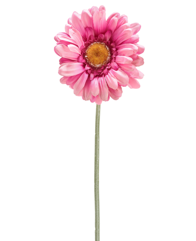 De Kunstbloem Gerbera 53 cm donker roze is een enkele donkerroze kunstmargriet met een geel hart op een lange groene steel, geïsoleerd op een witte achtergrond.