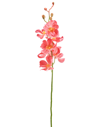 De Kunstbloem Orchidee 55 cm roze heeft een enkele steel met levendige roze orchidee bloemen met meerdere open bloemen en knoppen, tegen een effen witte achtergrond.