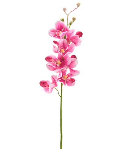 Een Kunstbloem Orchidee 55 cm mauve met verschillende levendige mauve-roze bloemen en knoppen staat tegen een effen witte achtergrond.