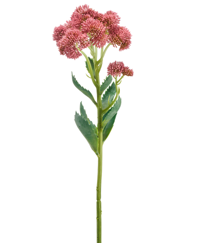 De Kunstbloem Dianthus 55 cm lila heeft een enkele groene stengel met gekartelde bladeren en trosjes kleine, lila bloemen aan de bovenkant, tegen een effen witte achtergrond.