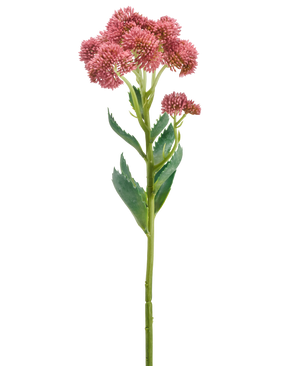 A single stem of the Artificial Flower Sedum 57 cm mauve features bunches of small, star-shaped mauve flowers and green leaves, depicted against a white background.