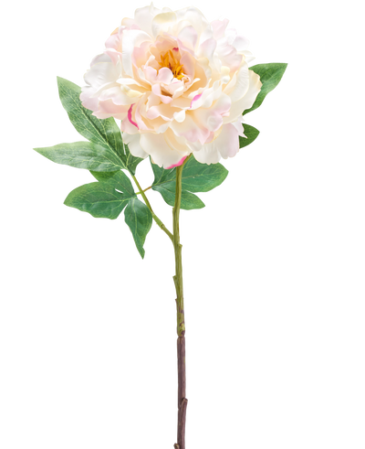 De Kunstbloem Peony 61 cm creme is een enkele kunstmatige lichtroze en crème pioenbloem met groene bladeren en een lange steel, afgebeeld tegen een witte achtergrond.