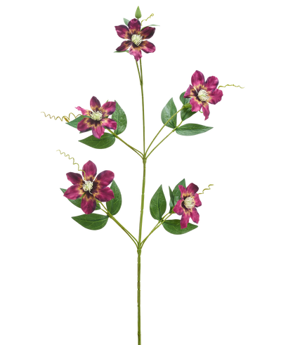 De Kunstbloem Celematis 78 cm paars heeft een enkele groene stengel met vijf bloeiende paarse bloemen, elk met puntige bloemblaadjes en een geel hart, omringd door groene bladeren en gekrulde ranken, geïsoleerd op een witte achtergrond.
