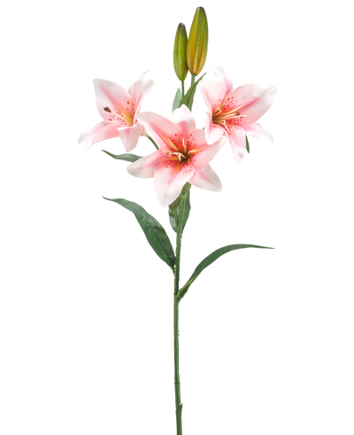Een enkele steel van Kunstbloem Lelie 78 cm wit/roze heeft drie roze en witte lelies in bloei, twee gesloten knoppen en groene bladeren, tegen een effen witte achtergrond.