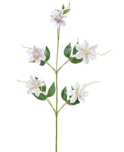 De Kunstbloem Celematis 78 cm wit heeft een enkele groene stengel met vijf witte stervormige bloemen, meerdere groene bladeren die symmetrisch gerangschikt zijn en gekrulde ranken. De achtergrond is egaal wit.