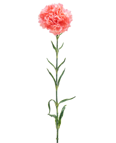 De Kunstbloem Anjer 68 cm zalm roze is een enkele kunstanjer met ruches van zalmroze bloemblaadjes, een lange groene steel en verschillende groene bladeren, geïsoleerd op een witte achtergrond.
