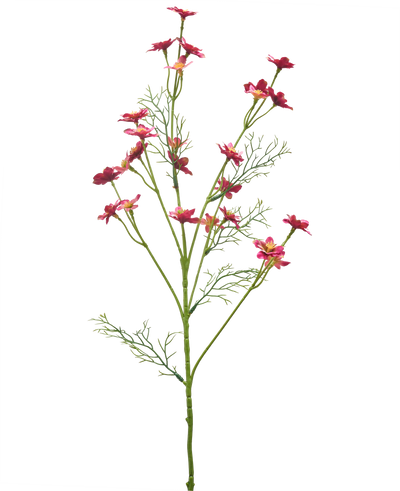 Een Kunstbloem Wilde Bloem 68 cm in donkerroze, met slanke groene stelen, vederlichte bladeren en meerdere kleine felroze bloemen op een witte achtergrond.