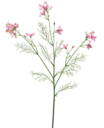 De Kunstbloem Wilde Delphinium 71 cm lichtroze heeft een enkele groene stengel met vederlichte blaadjes en verschillende trosjes tere lichtroze bloemen tegen een effen witte achtergrond.