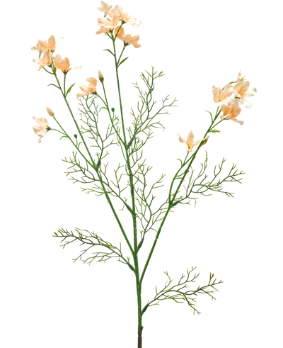 De Kunstbloem Wilde Delphinium 71 cm licht crème heeft een delicate kunststengel met licht crèmekleurige bloemen en fijne, vederlichte groene bladeren, tegen een effen witte achtergrond.