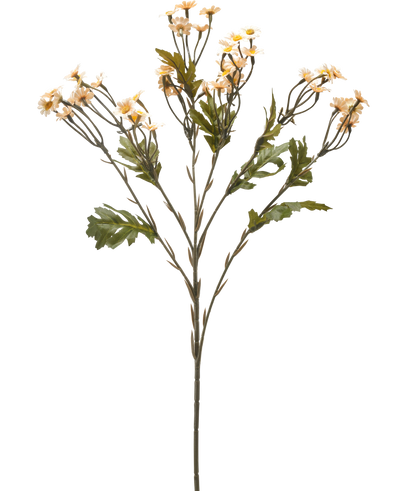 De Kunstbloem Mini Daisy 61 cm creme is een enkele kunstbloemenstengel met meerdere takken, groene bladeren en kleine crèmekleurige margrietachtige bloemen tegen een effen witte achtergrond.