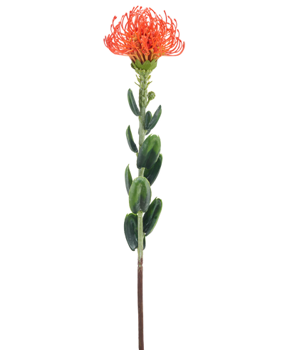Een enkele Kunstbloem Mini Protea 61 cm oranje met een piekerige oranje bloem en groene bladeren tegen een effen witte achtergrond.