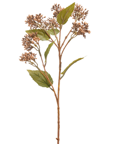 De Kunstbloem Sedum 67 cm bruin heeft een enkele bruin met groene kunstplantstengel met trosjes kleine bruine knoppen en verschillende groene bladeren, geïsoleerd op een witte achtergrond.