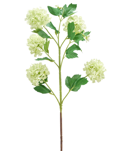 De Kunstbloem Sneeuwbal 77 cm groen heeft een enkele groene stengel met meerdere takken, elk versierd met trosjes ronde, lichtgroene bloemen en verschillende groene bladeren, allemaal geïsoleerd op een witte achtergrond.