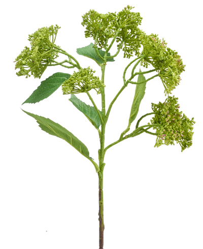 Een Kunstbloem Hortensia 56 cm groen/rood met een groene stengel met trosjes compacte groene knoppen en langwerpige bladeren, afgebeeld tegen een witte achtergrond.