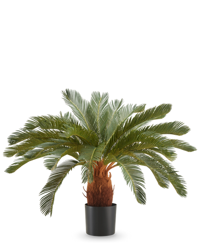 De Kunstplant Cycas UV 90 cm heeft lange, gebogen groene bladeren en een dikke bruine stam in een zwarte pot, tegen een effen witte achtergrond.