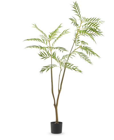 De Kunstplant Mahonia 180 cm is een hoge kunstplant met slanke stengels en lange, smalle groene bladeren in een eenvoudige zwarte pot, afgebeeld tegen een effen witte achtergrond.