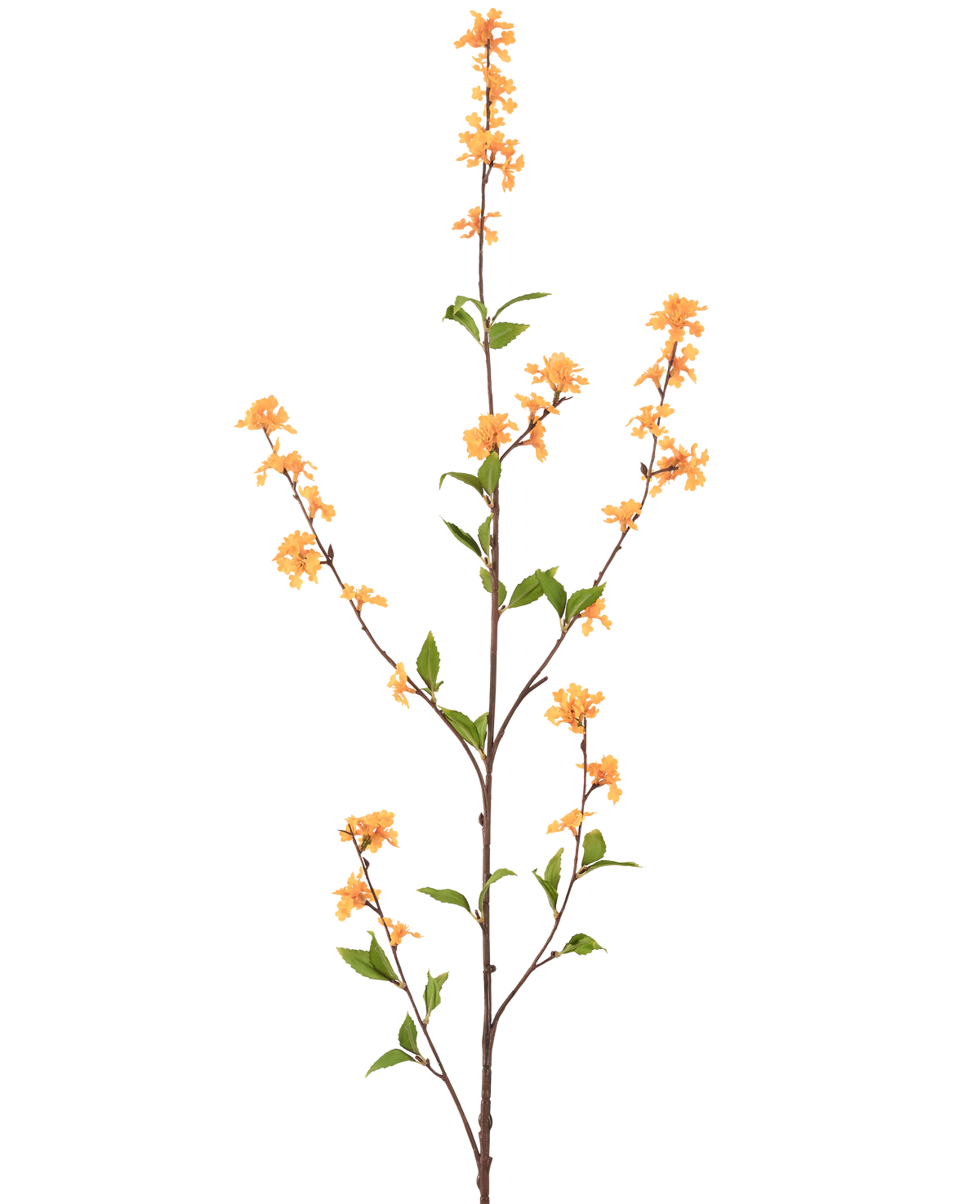 A tall, slender Artificial Flower Flowers 119 cm yellow with several offshoots with bunches of small yellow flowers and green leaves, isolated on a white background.