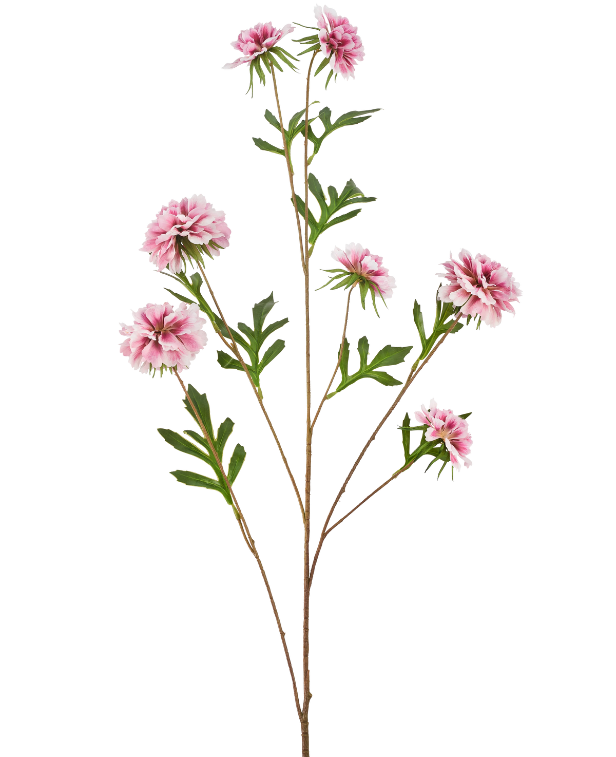 The Artificial Flower Cornflower 112 cm pink has a long stem with green leaves and several pink, fluffy, dahlia-like flowers against a white background.