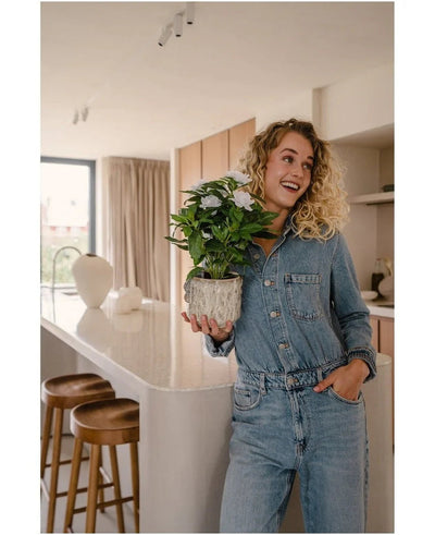 Een glimlachende vrouw in een spijkerjumpsuit staat in een moderne keuken, met de Kunstplant Gardenia UV 39 cm wit in haar handen. Langs een wit aanrecht staan houten krukken opgesteld, en door een raam op de achtergrond stroomt zonlicht naar binnen.