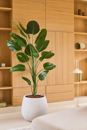 Een kunstplant Strelitzia van 210 cm met een realistische uitstraling, in een witte pot, staat voor lichte houten inbouwplanken en kasten in een moderne, minimalistische woonruimte. Deze stijlvolle, onderhoudsvriendelijke kunstplant geeft de ruimte een realistische en onderhoudsvriendelijke uitstraling.