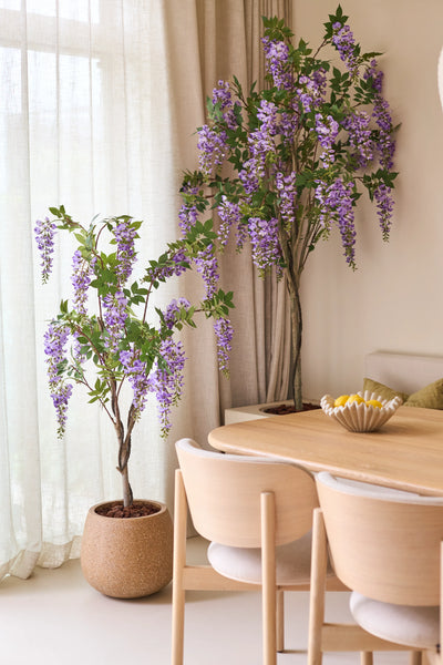 Two Artificial Wisteria plants of 150 cm, with their overhanging purple flowers, stand next to a wooden dining table with light chairs. Soft natural light shines through the translucent curtains behind the plants.