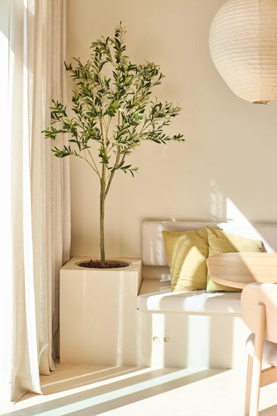 Een Kunst Olijfboom van 180 cm in mediterrane stijl staat bij een raam met doorschijnende gordijnen, vergezeld van een bankje met groene kussens, een ronde houten tafel en een papieren lantaarn in een zonovergoten, minimalistische kamer.