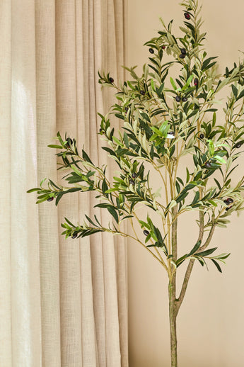 An Artificial Olive Tree of 150 cm, decorated with dark olives, looks attractive indoors next to beige curtains and a light brown wall, and provides a calm and natural look - ideal for any interior with an olive tree.