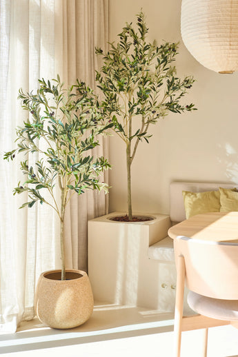 Two olive trees in pots, including the elegant Artificial Olive Tree of 150 cm, stand near a window with translucent curtains. Sunlight streams in, illuminating a modern room with a round table, a light wood chair and soft green cushions.
