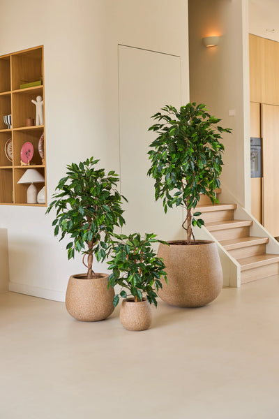 Three houseplants in pots of different sizes, including the Artificial Plant Ficus Green 90 cm, are arranged on a light-coloured floor near a staircase, with wooden shelves and home accessories in the background – an ideal arrangement of office plants for any modern workspace.