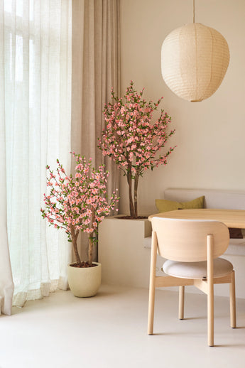 A minimalist room with light wooden furniture, cream-colored curtains and two Artificial Cherry Blossoms of 150 cm in pink, which provide pink blossoms. A round paper lantern hangs above the dining table, with a cushioned chair and built-in bench.