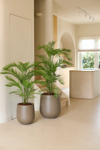 Two potted palm plants, including the striking 160cm Phoenix artificial plant in modern gray planters, sit on a light floor in a minimalist beige interior with natural light streaming in through a large window — perfect for adding a touch of tropical plants to a luxurious interior.