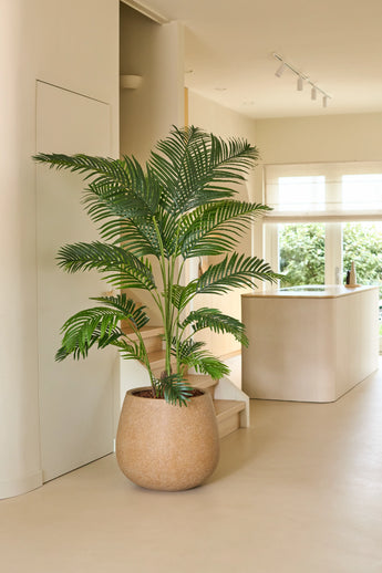 An Artificial Chamaedorea plant of 180 cm stands in a modern, bright kitchen with neutral tones, minimalist decor and natural light streaming in through the windows.