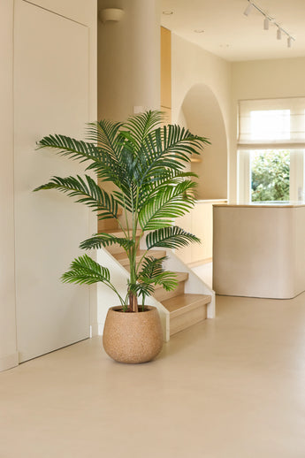 A 160cm Artificial Plant Phoenix sits on a light floor in a modern, minimalist space with soft natural light, curved architectural elements and neutral tones – an effortless interior upgrade that brings the charm of tropical plants indoors.