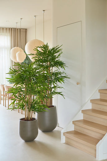 Two 120 cm Artificial Bamboo potted plants stand next to a light wooden staircase in a light, modern interior with large windows, light curtains, round paper lanterns and neutral decor.