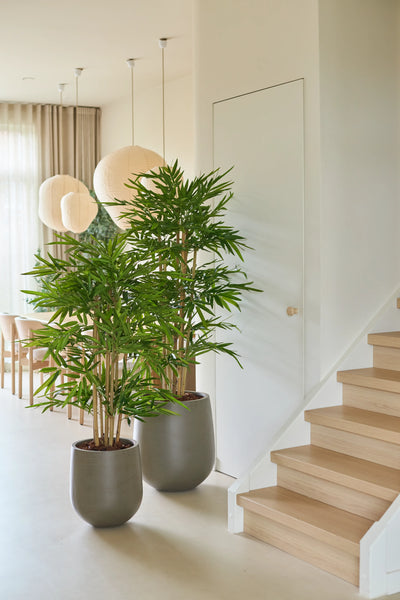 Two 120 cm Artificial Bamboo potted plants stand next to a light wooden staircase in a light, modern interior with large windows, light curtains, round paper lanterns and neutral decor.
