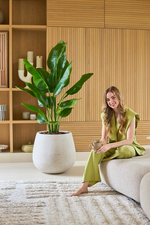 A woman in a light green outfit sits barefoot on a couch, smiling and holding a mug. Next to her is the Artificial Plant Strelitzia Real Touch Deluxe 150 cm, while wooden planks and decorative objects give the background a warm appearance.