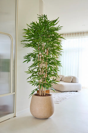 De Kunstplant Bamboe 210 cm staat in een lichte, moderne woonkamer met een beige bank, witte vitrages en een minimalistische inrichting.