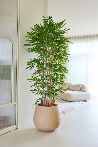 De Kunstplant Bamboe 210 cm staat in een lichte, moderne woonkamer met een beige bank, witte vitrages en een minimalistische inrichting.