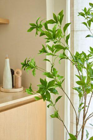 A 150cm Pieris Japonica artificial plant stands by a window next to a light wooden cabinet, which holds ceramic bottles and a pepper mill, adding a minimalist touch to the light, airy room.