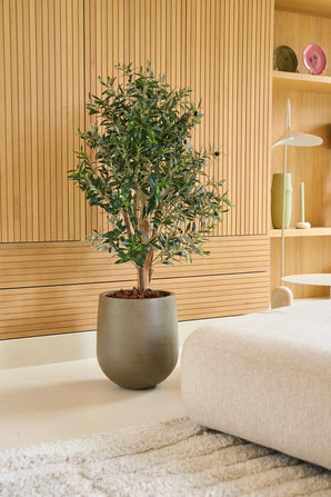Een Kunst Olijfplant 120 cm UV staat op een lichte vloer naast een beige bank in een moderne kamer met houten lambrisering en minimalistische planken waarop vazen en servies staan uitgestald. Dit is een onderhoudsvrije olijfboom die perfect past bij een stijlvolle, onderhoudsvriendelijke inrichting.