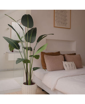 Artificial plant heliconia 180 cm - Easyplants Artificial Plants & Flowers