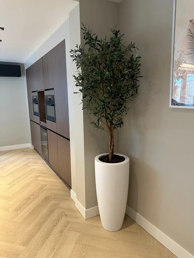 De Kunst olijfboom UV 160 cm, met levendige groene bladeren, staat in een witte plantenbak in de hoek van een moderne keuken met houten kastjes en een lichte visgraatvloer.