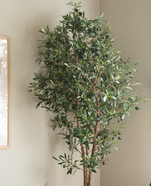 The Artificial olive tree UV 180 cm with dark leaves and black olives stands in the corner of a bright room, close to a framed photo on the wall.