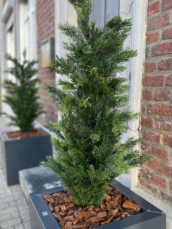 Artificial Plant Conifer UV 120cm - Easyplants Artificial Plants & Flowers